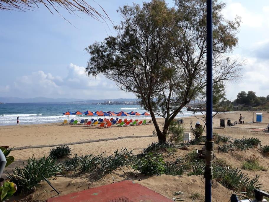 Cozy New Apartments Nea Chora Chania  Ngoại thất bức ảnh