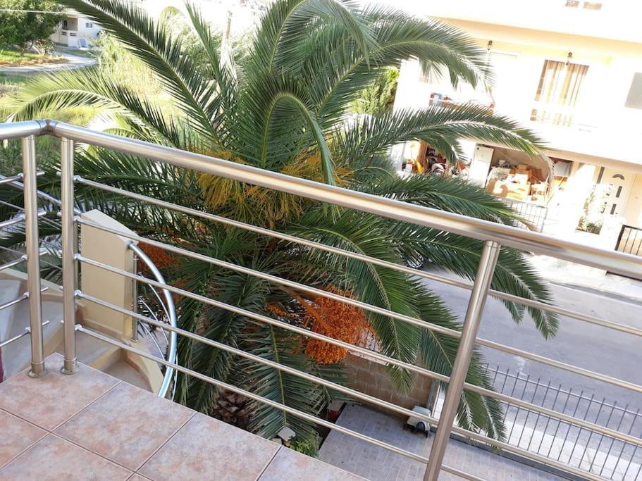 Cozy New Apartments Nea Chora Chania  Ngoại thất bức ảnh